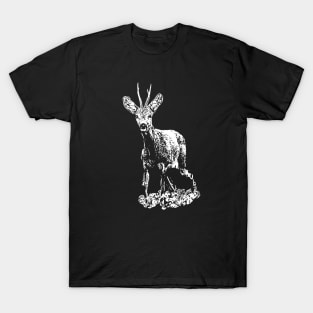 Roe buck T-Shirt